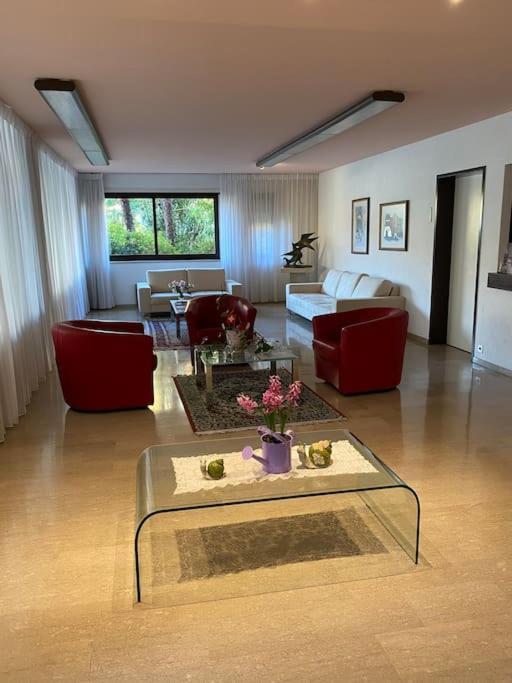 Appartement Ascona: Residenza Sabrina,App 2.5 Locali E Piscina Extérieur photo
